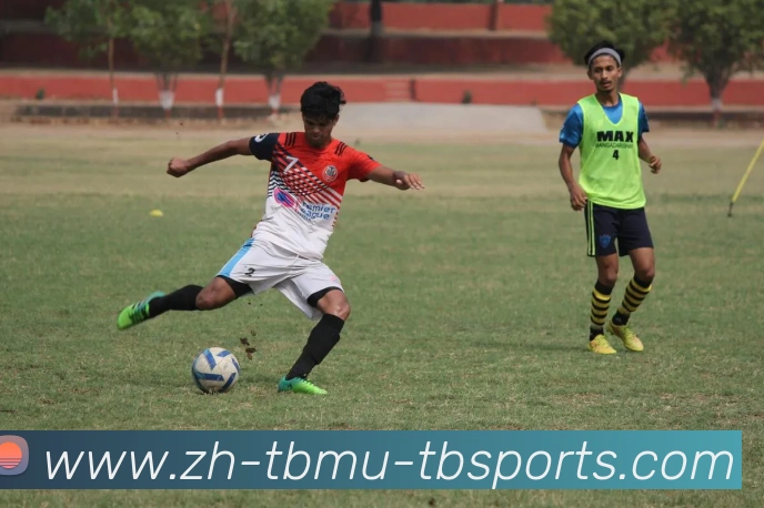 App Interface Preview