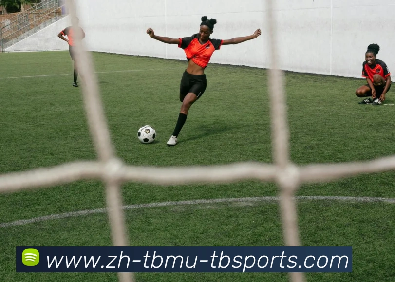 天博体育APP 封面图